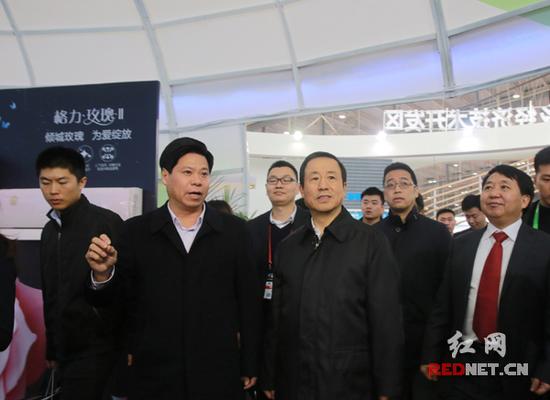 湖南省委副书记、省长许达哲（前排右二）一行参观宁乡经开区展馆