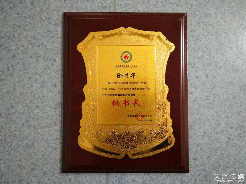 湖南省高新技术企业协会农业健康旅游产业分会秘书长