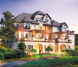 �й�����ɽ���