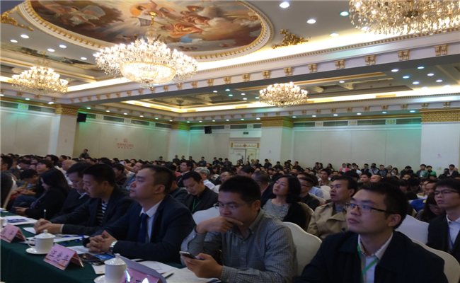 中国（湖南）电商创新与发展峰会到场嘉宾