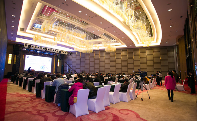 湖南省工商联青年企业家商会2014年年会年会现场
