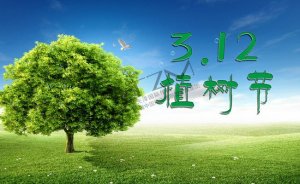 天泽活动传媒打造植树节活动策划
