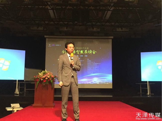 湖南民营企业创新转型发表峰会现场唐骏演讲