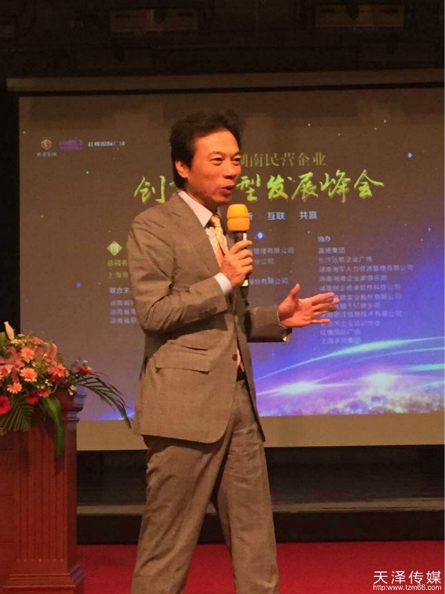 湖南民营企业创新转型发表峰会现场唐骏演讲