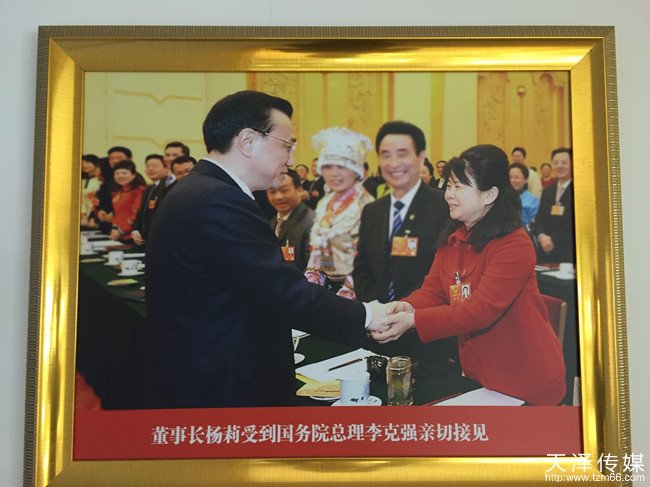 全国人大代表杨莉办公室展示的受到李克强总理接见的照片